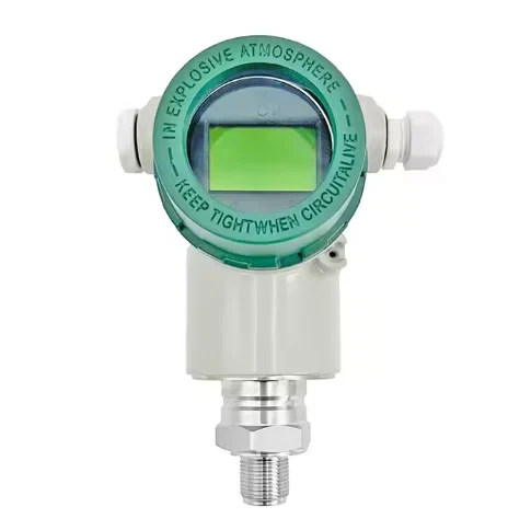 Explosion-Proof Pressure Transmitter with Display, view 1