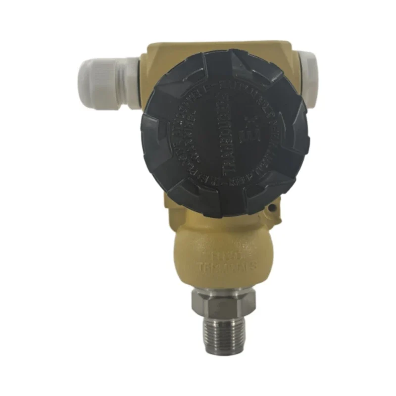 Industrial 2188-Type Pressure Transmitter, view 1