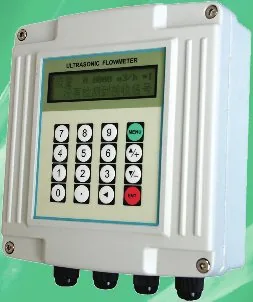 IIT-200F wall-mounted convertor with keypad and two-line display